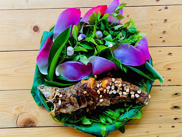 Ảnh 2: Khoảnh khắc đáng nhớ giữa không gian xanh mát