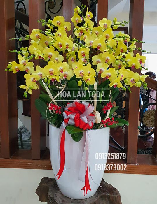 Tác phẩm nghệ thuật hoa lan đặc sắc tại Toda