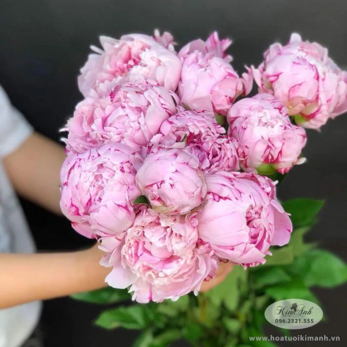 KimAnh FlowerShop - Khoảnh khắc hoa tươi ảnh 3