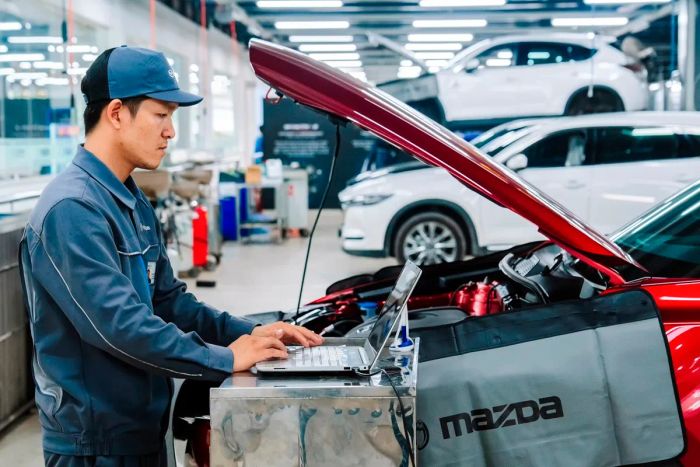 Trang Nam Auto ảnh 1