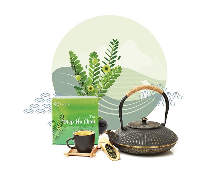 Trà Diệp Hạ Châu Herbio hình ảnh 1