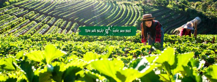 Không gian VietGreenfood - Nét tinh hoa ẩm thực xanh