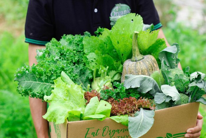 Bộ sưu tập thực phẩm hữu cơ đa dạng tại Organicfood - Ảnh 3