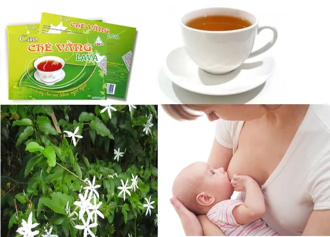 Bộ ảnh minh họa sản phẩm Cao Chè Vằng Lava
