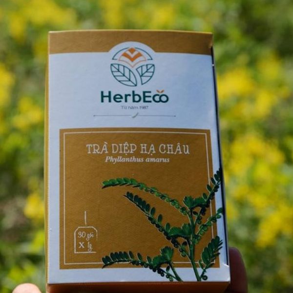Trà Diệp Hạ Châu HerbEco hình ảnh 2