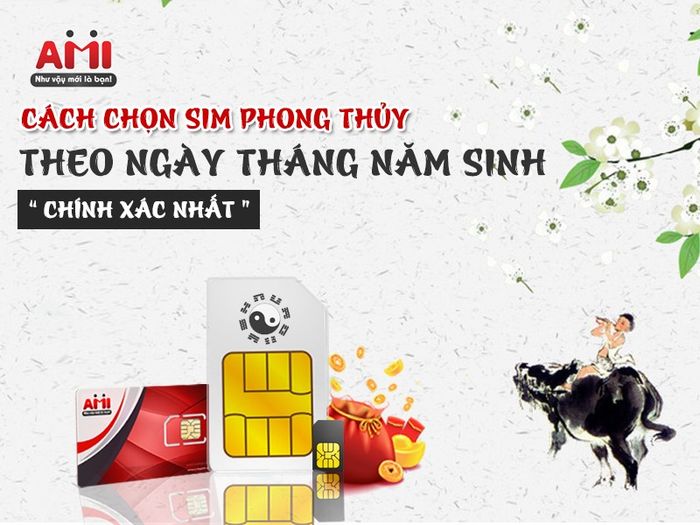 Hình ảnh ấn tượng về bộ sưu tập sim tại Số Đẹp Ami