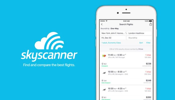 Hình ảnh minh họa Skyscanner số 2