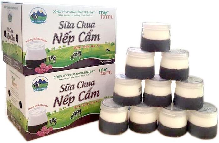 Hình ảnh Sữa Chua Nếp Cẩm Myfarm - Tinh hoa từ nếp cẩm Tây Bắc