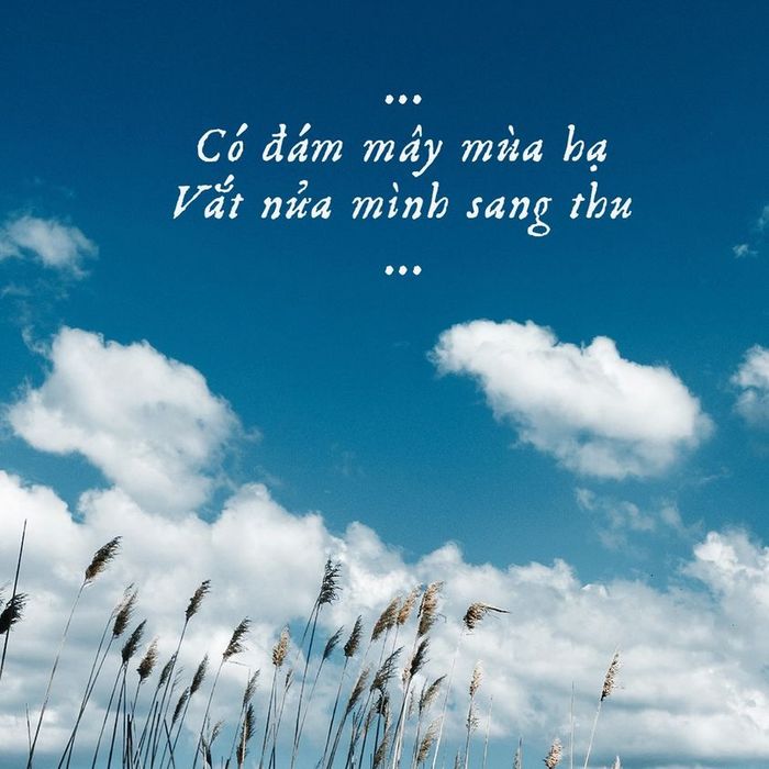 Hình ảnh minh họa (Nguồn: Internet) - ảnh số 1