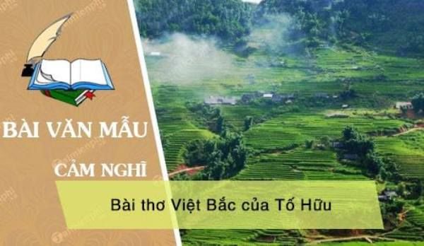 Ảnh minh họa (Nguồn internet) Ảnh 1