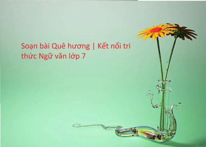 Hình ảnh minh họa sống động (Nguồn: internet)