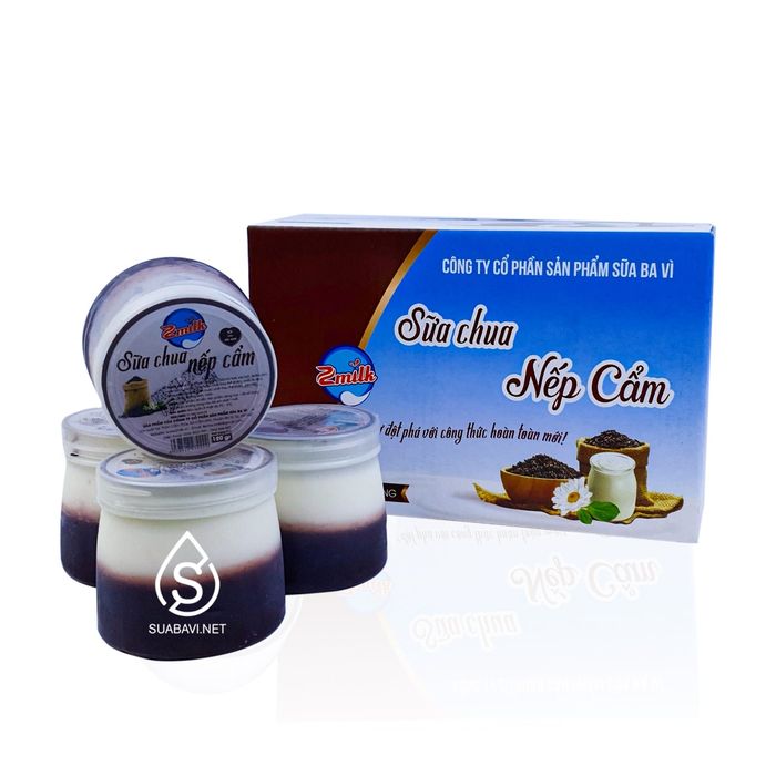 Hình ảnh sữa chua nếp cẩm Ba Vì - Món quà từ thiên nhiên