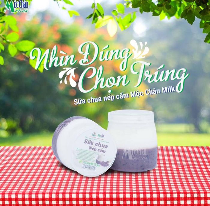 Hình ảnh Sữa chua nếp cẩm Mộc Châu - Tinh hoa từ cao nguyên