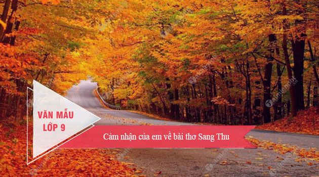 Hình ảnh minh họa (Nguồn: Internet) ảnh 1