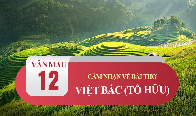 Ảnh minh họa (Nguồn internet) ảnh 1