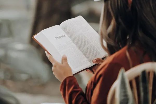 Nghệ thuật đọc sách hiệu quả - Hình ảnh minh họa