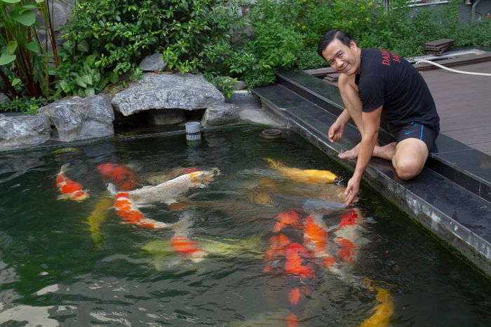 Ruby Koi Farm hình ảnh 1