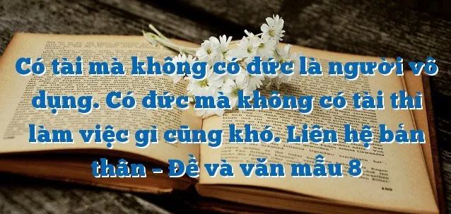 Hình ảnh minh họa trực quan về sự hài hòa giữa phẩm chất và năng lực (Nguồn: internet)