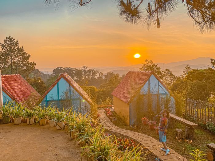 Hình ảnh đầu tiên về Thông Reo Homestay - Nơi tiếng thông reo hòa cùng nhịp sống bình yên