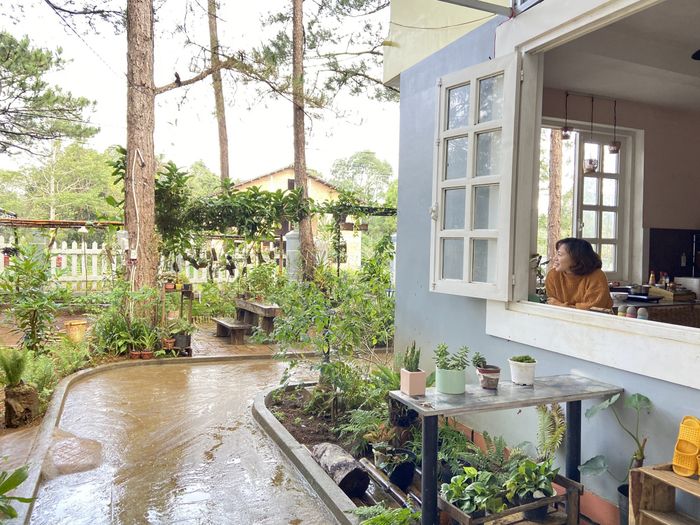 Hình ảnh thứ hai về La Maison Homestay - Khung cảnh thơ mộng giữa vườn cây xanh mướt