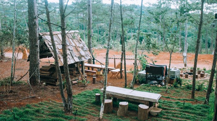 Hình ảnh đầu tiên về Sóc's House - Tổ ấm ẩn mình giữa rừng thông bạt ngàn