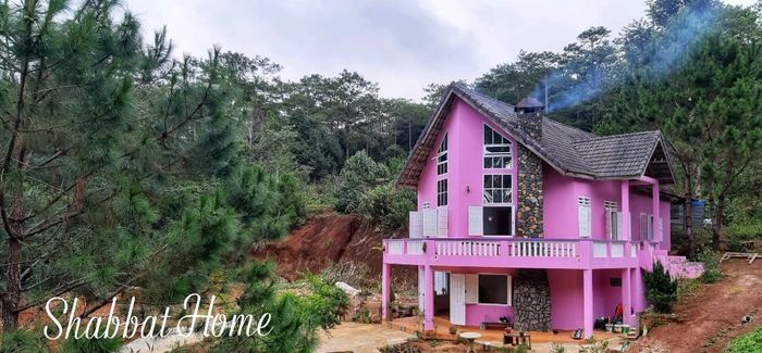 Hình ảnh đầu tiên về Shabbat Homestay - Ngôi nhà tím hồng giữa rừng thông