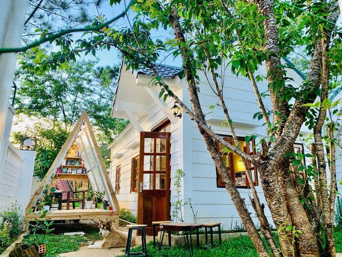 Hình ảnh đầu tiên về Nắng Homestay - Ngôi nhà nhỏ giữa rừng thông