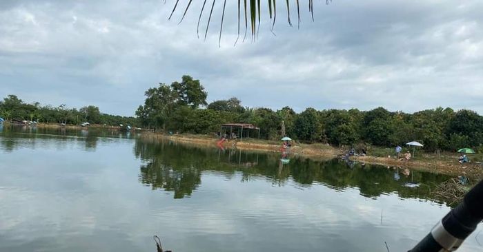 Hoàng hôn lãng mạn bên hồ câu GREENFISH
