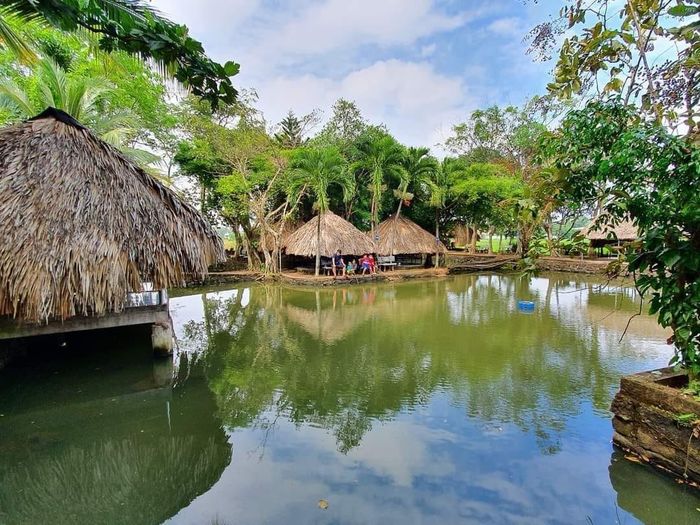 Không gian xanh mát tại Thủy Mộc Quán