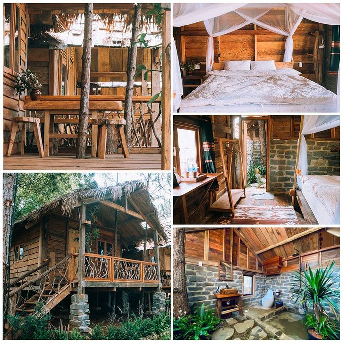 Hình ảnh thứ hai về Sóc's House - Không gian sống hòa quyện cùng thiên nhiên