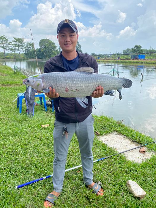 Hồ câu Thành Ngân - góc nhìn toàn cảnh