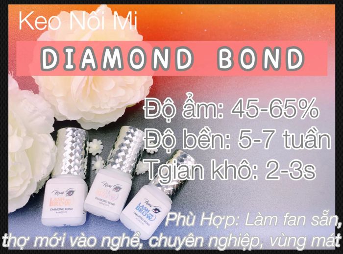 Hình ảnh bộ sưu tập dụng cụ nối mi cao cấp tại Hani