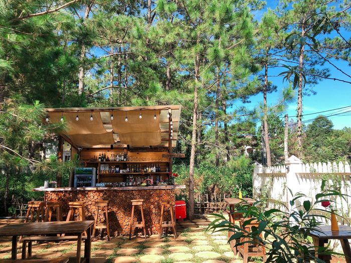 Hình ảnh thứ hai về Chino Homestay - Không gian vintage giữa rừng thông
