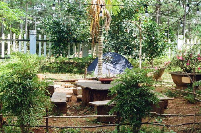 Hình ảnh đầu tiên về Sum Villa - Không gian xanh mát giữa rừng thông