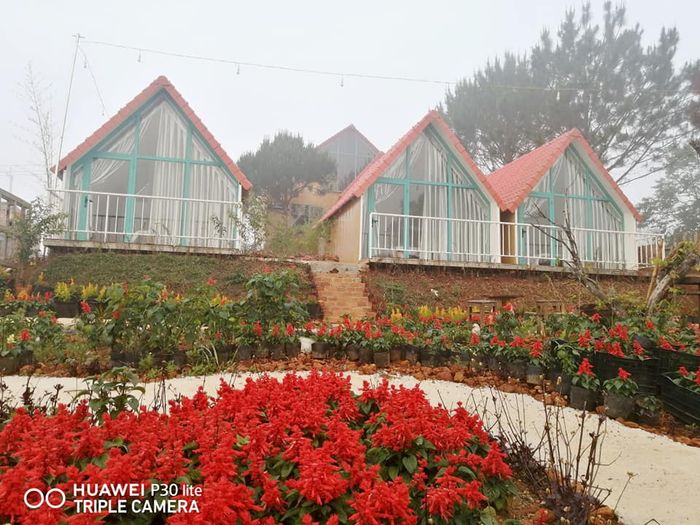 Hình ảnh thứ hai về Thông Reo Homestay - Không gian xanh mát đầy thơ mộng