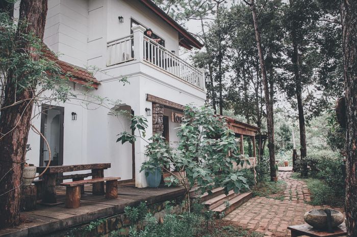 Hình ảnh đầu tiên về TOKI Boutique - Măng Đen - Kiến trúc hòa quyện giữa truyền thống và hiện đại