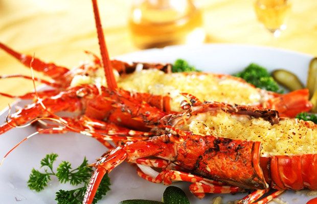 Những món ăn trình bày tinh tế tại Mộc Bistro - Ảnh 2