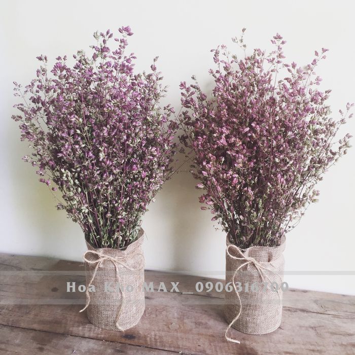 [Hình ảnh] Bộ sưu tập hoa khô cao cấp tại Hoa khô MAX