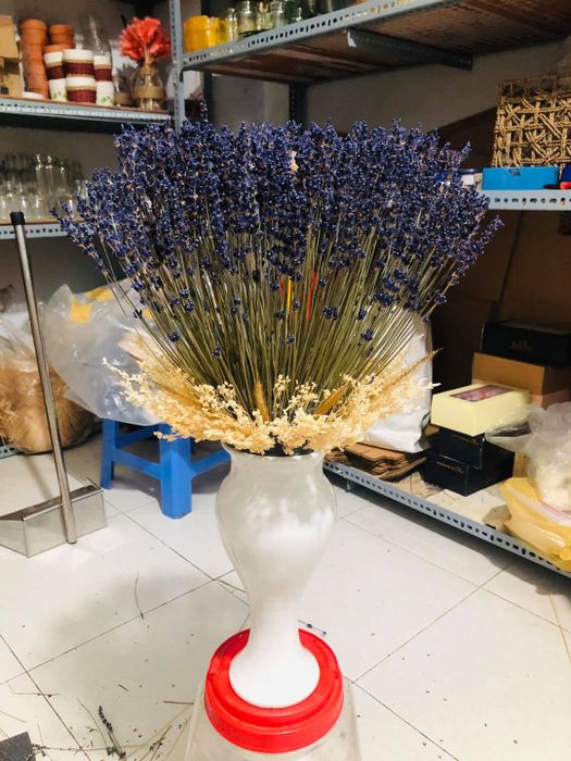 [Hình ảnh] Bộ sưu tập hoa khô nghệ thuật tại Hoa khô Quang Minh