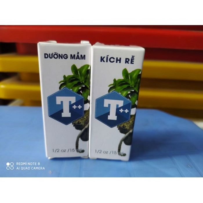 Hình ảnh minh họa hiệu quả bộ sản phẩm T++ trên các giò lan