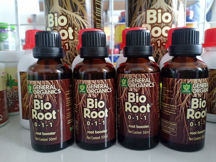 Bộ sưu tập hình ảnh minh họa hiệu quả Bio Root 0-1-1 trên các giò lan