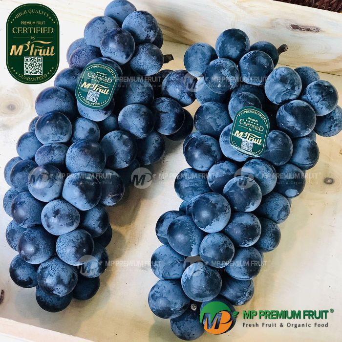 Bộ sưu tập trái cây theo mùa độc đáo tại Minh Phương Fruit - Ảnh 2