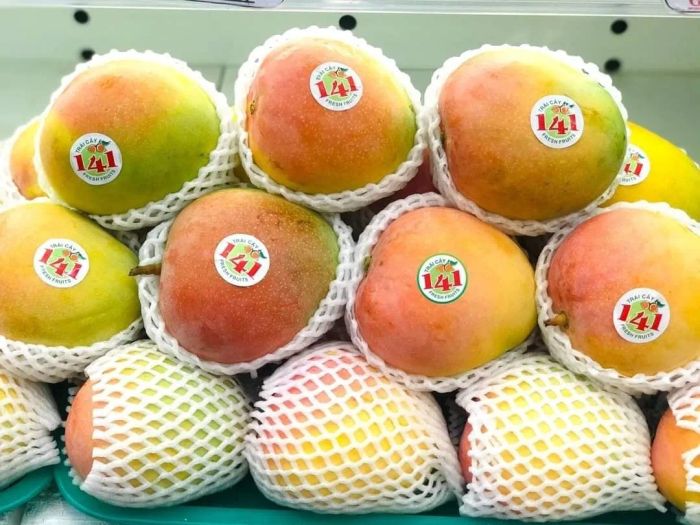 Không gian trưng bày đầy màu sắc tại Trái Cây Tươi 141 - Ảnh 3