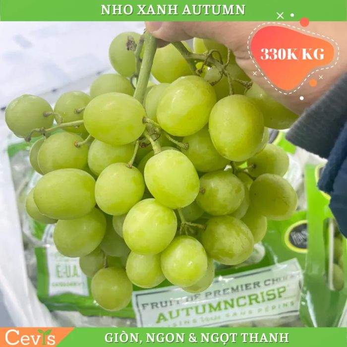 Bộ sưu tập trái cây nhập khẩu cao cấp tại CEVIS - Ảnh 3
