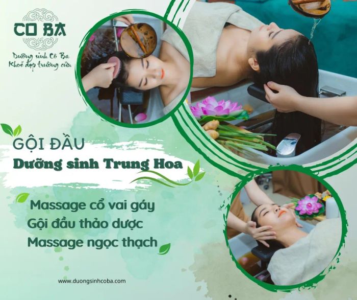 Dưỡng Sinh Cô Ba Ảnh 1