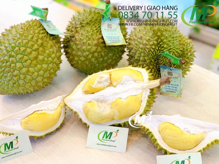 Khám phá thế giới trái cây nhập khẩu tại Minh Phương Fruit - Ảnh 1