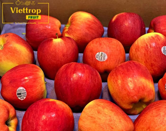 Không gian trưng bày trái cây đạt chuẩn tại Viettropfruit - Ảnh 1