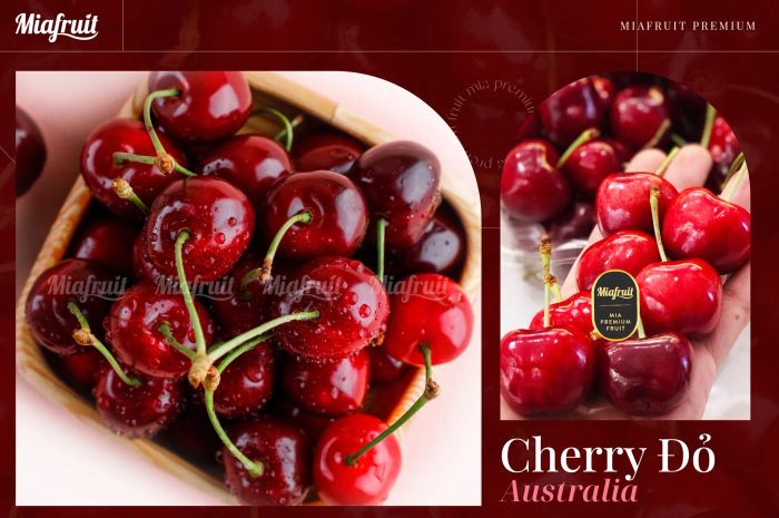 Không gian trưng bày sang trọng tại Mia Fruit - Ảnh 1
