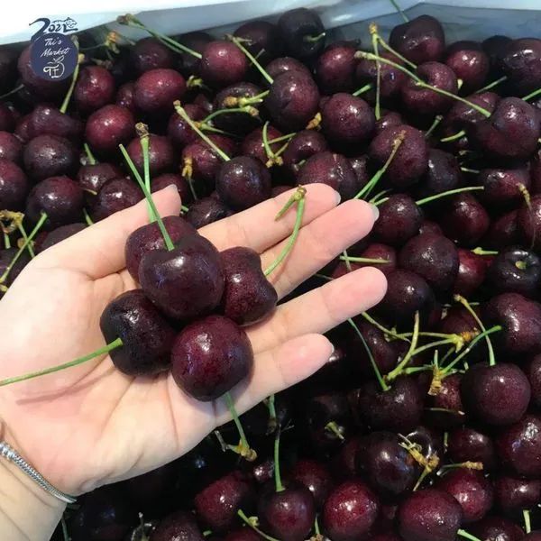 Trải nghiệm mua sắm trái cây cao cấp tại Thi's Market - Ảnh 3
