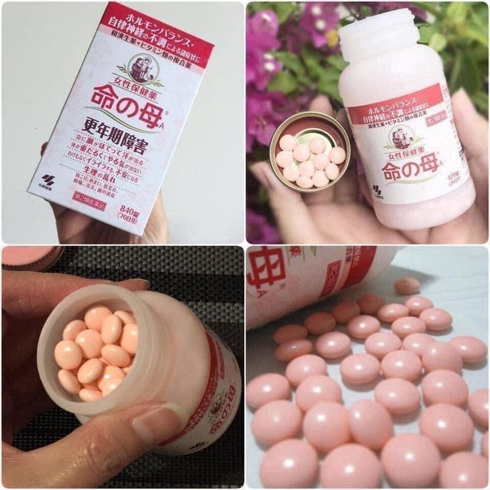 Bộ sưu tập sản phẩm bán chạy tại Yoko Shop